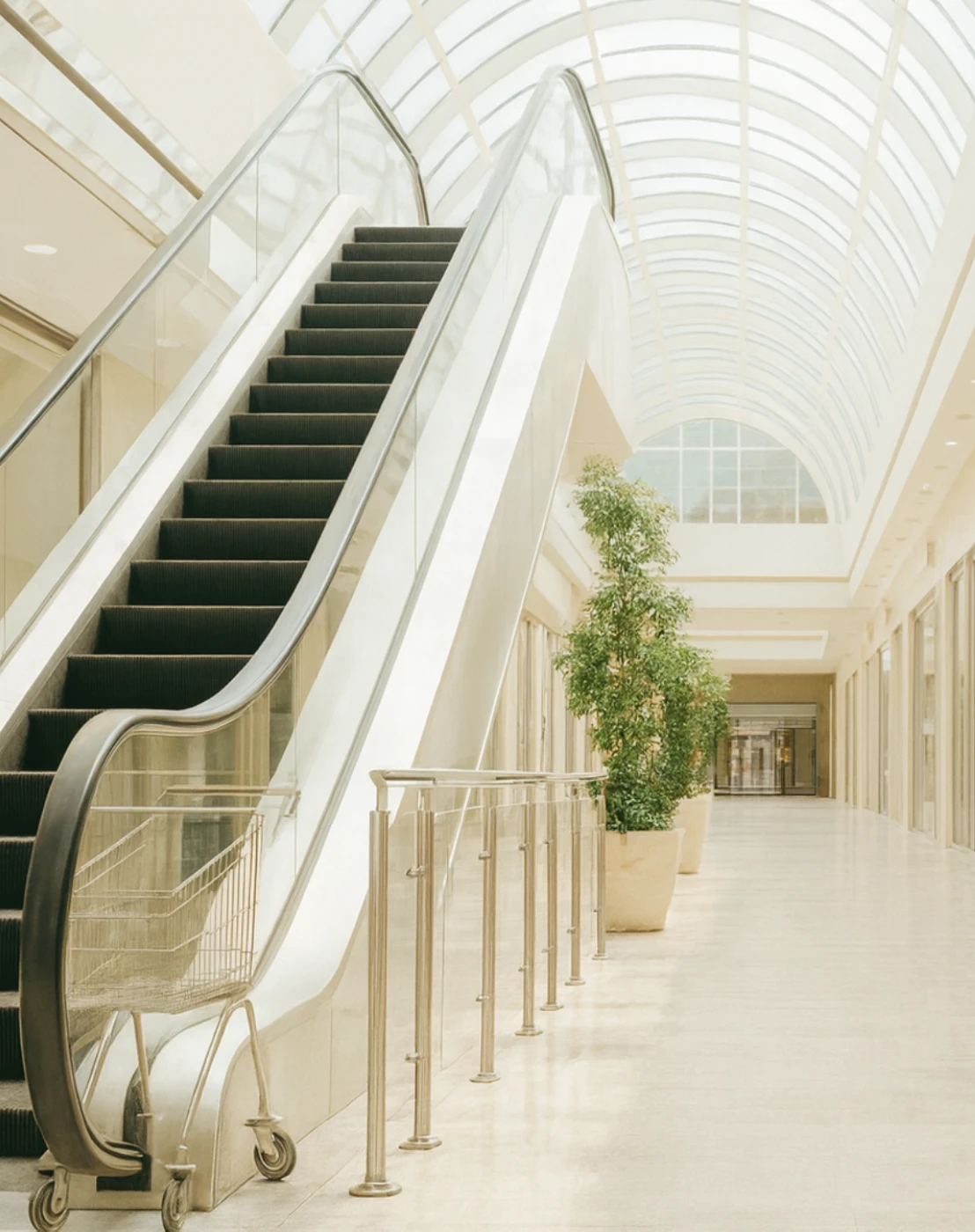 Retail shop hall with escalator